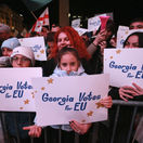 Georgia Election Protest