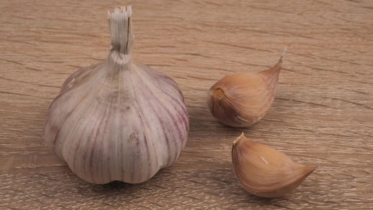 ‘Anton’: nepaličiak; výsadba jeseň, počet...