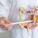Kolonoskopia, črevá, doktor