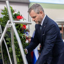 Martinská deklarácia, pellegrini