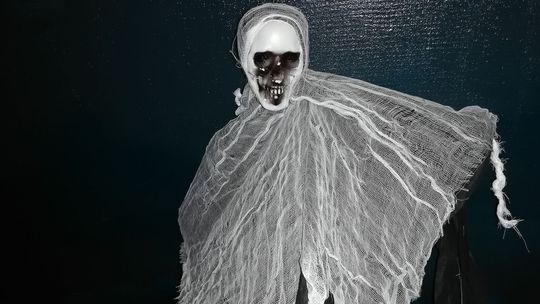 Strašidlá, lebky či pavučiny patria k množstvu...