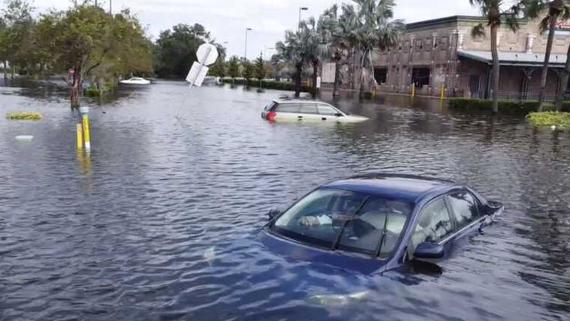 Verili by ste? Až 85 % áut z USA alebo Kanady...