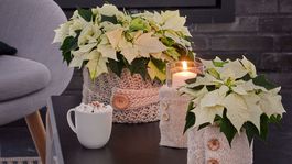 Útulné vlnené poťahy premenia obyčajné...