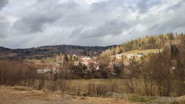 Čierny Balog, drevo, ťažba, kalamita