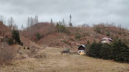 Čierny Balog, drevo, ťažba, kalamita