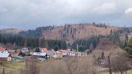 Čierny Balog, drevo, ťažba, kalamita