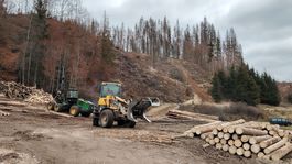 kalamitná ťažba, drevo, Čierny Balog