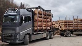 kamión, ťažba, drevo, Čierny Balog