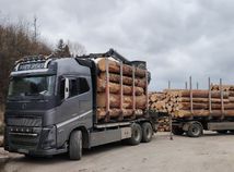 kamión, ťažba, drevo, Čierny Balog