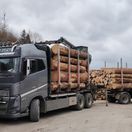 kamión, ťažba, drevo, Čierny Balog