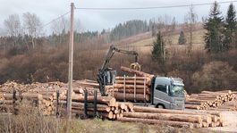 kamión, ťažba, drevo, Čierny Balog