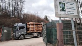 sklad, ťažba, drevo, Čierny Balog