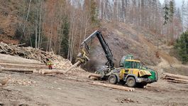 ťažba, drevo, Čierny Balog