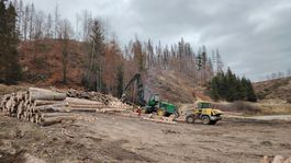 ťažba, drevo, Čierny Balog