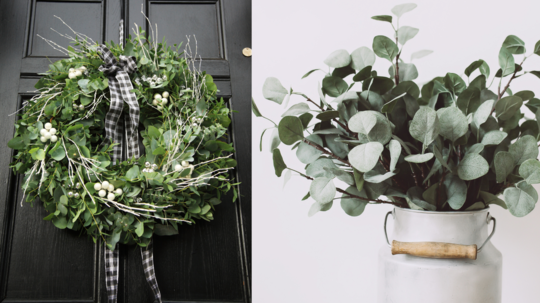 eukalyptus, veniec, dvere, veniec na dvere,