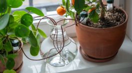 Zavlažovacie systémy do nádob