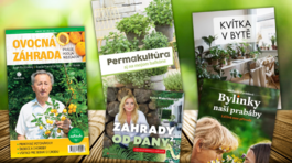 Literatúra pre začiatočníkov