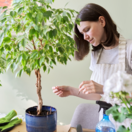 figovník malolistý