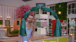 Pali kr 9076