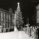 vianočný stro, Brno, Slávnosť rozsvecovania