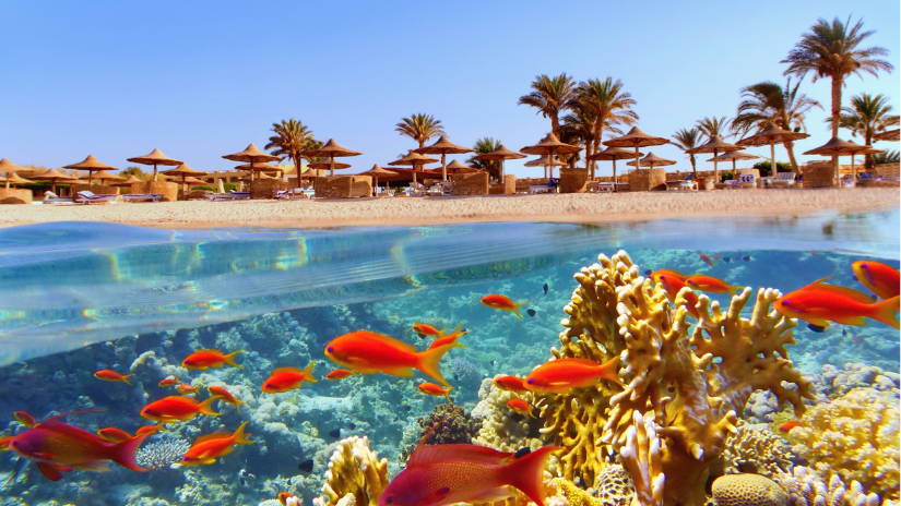 Marsa Alam aj Makadi Bay patria medzi...