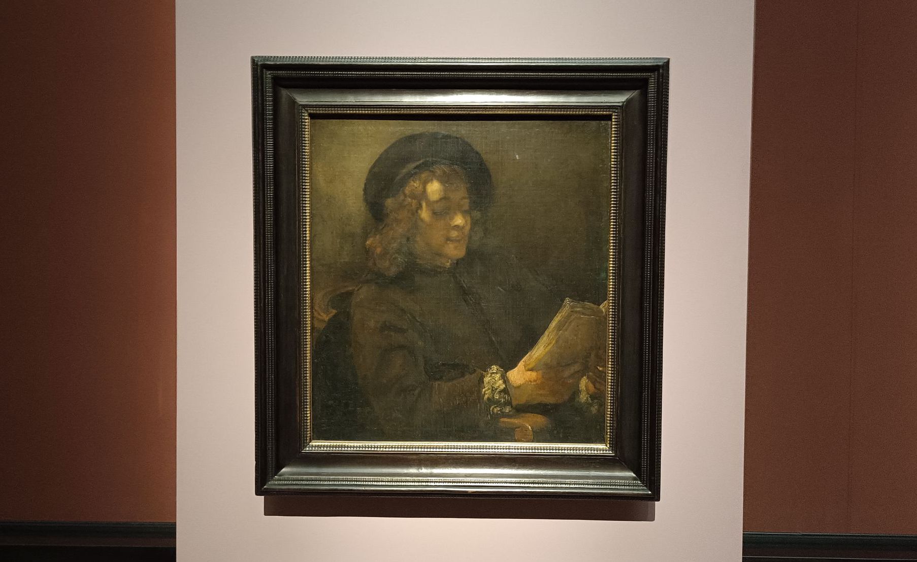 Rembrandt:Titus van Rijn, umelcov syn číta