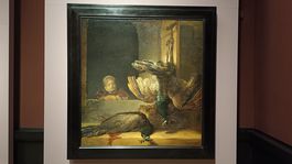 Rembrandt, zátišie s pávmi