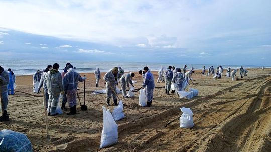Dobrovoľníci čistia pláž od ropných škvŕn v...
