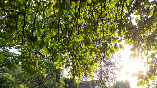 V mojej záhrade by sa mali ľudia cítiť dobre,...