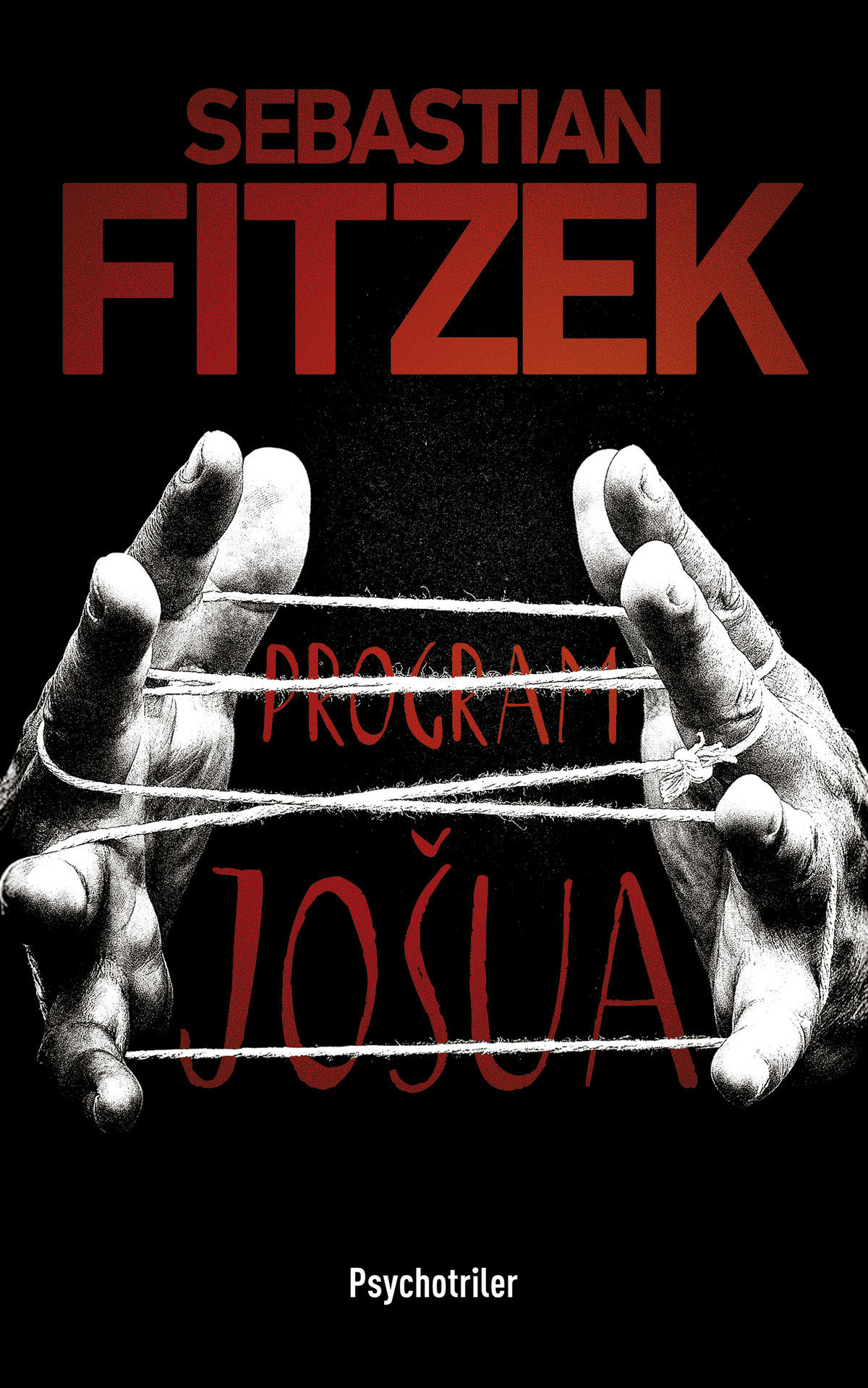 Sebastian Fitzek: Program Jošua