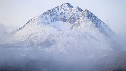 Mŕtvoly zvierat rozhádzané blízko obydlí. Ochranári odhalili vnadisko priamo v revíri TANAP-u