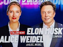 Elon Musk, Alice Weidel, AfD