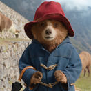 PADDINGTON IN PERU