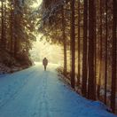 hory, Tatry, prechádzka, túra, zima, sneh, les, cestovanie, dovolenka, mráz, chlad