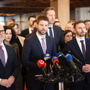 Parlament, Simecka, Grohling, Majersky, Sipos