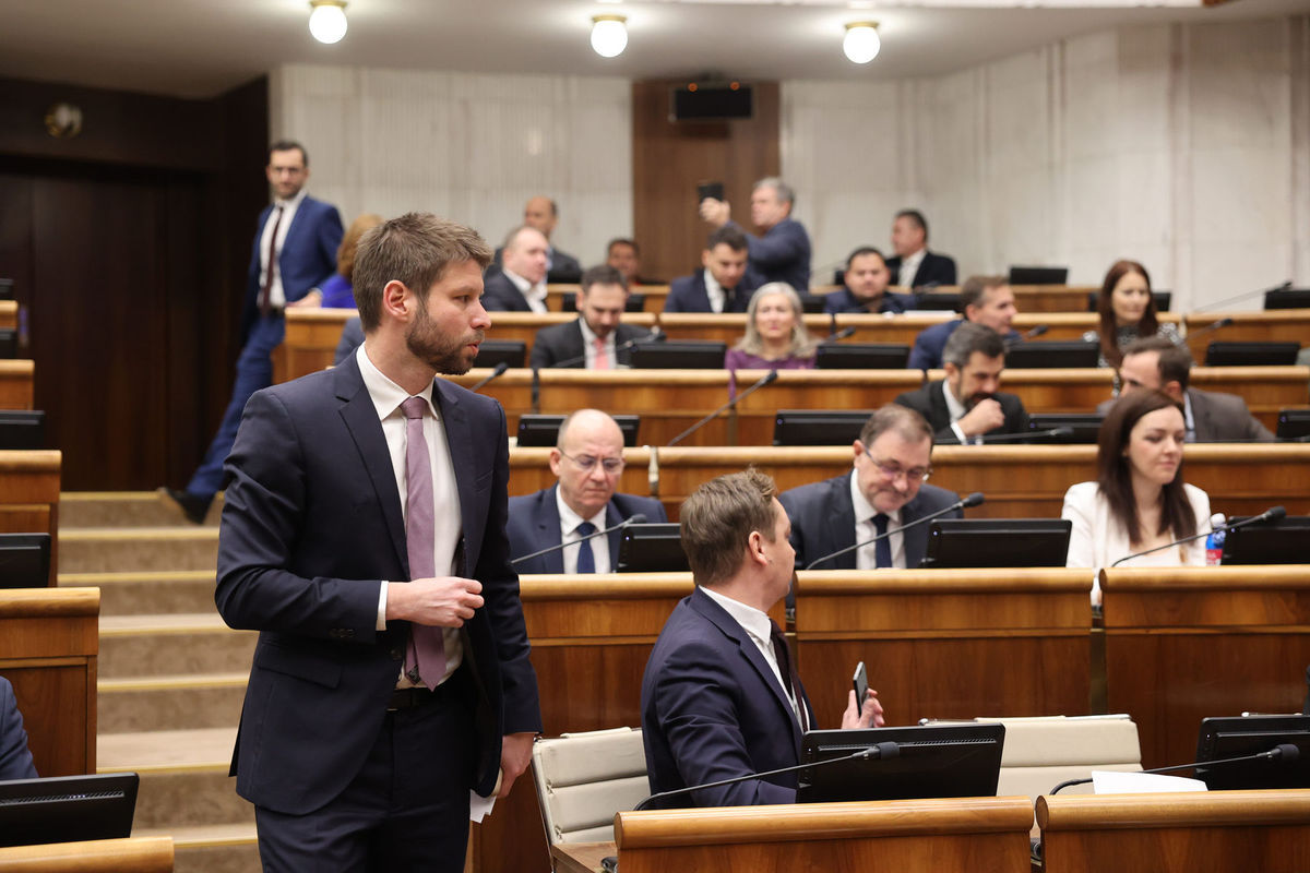 Parlament, Simecka