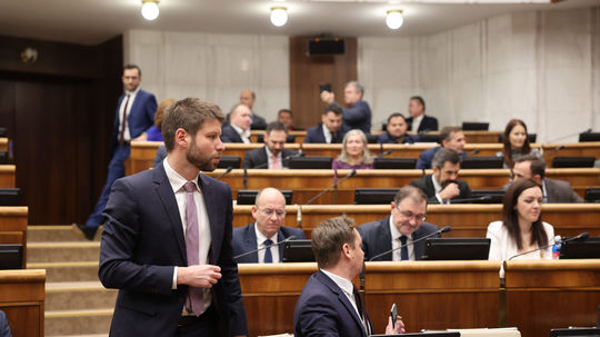 Parlament,  Simecka