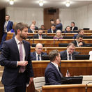 Parlament, Simecka