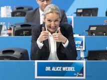 Alice Weidel, Alice Weidelová, AfD