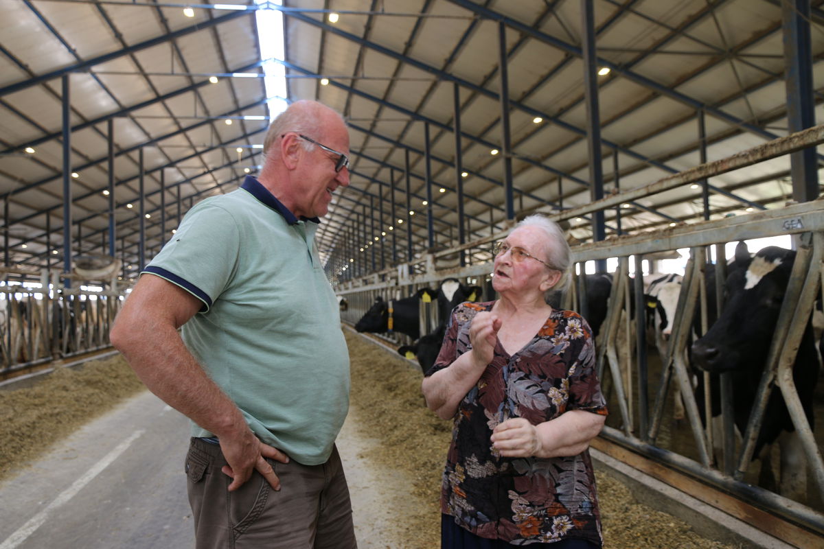 Mária Domanizsová a Marián Záhumenský: Dobytok...