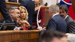 hlasovanie o vyslovenĂ­ nedĂ´very, parlament,