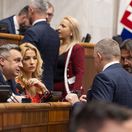 hlasovanie o vyslovenĂ­ nedĂ´very, parlament,