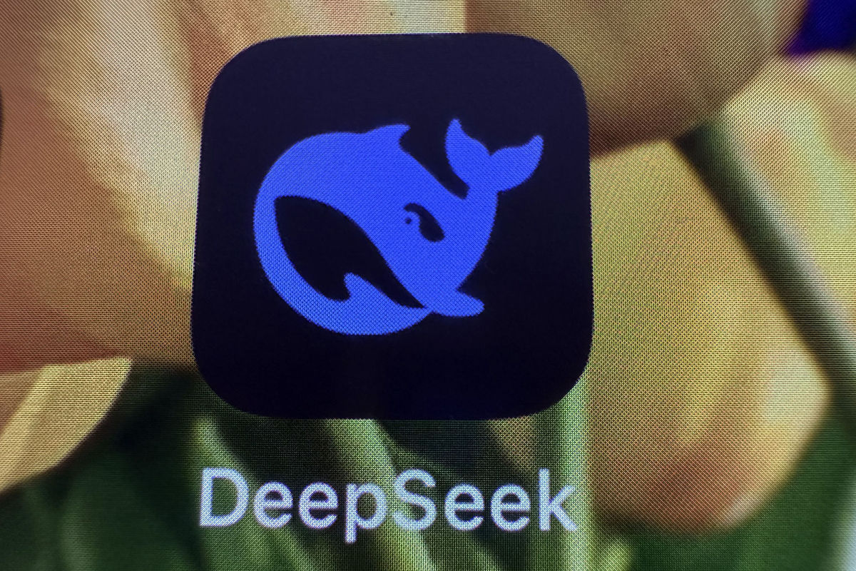 deepseek-logo-nestandard1.jpg