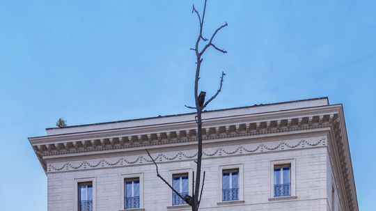 Výzdoba butiku Fendi v Ríme, ktorá akcentuje...