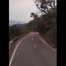 india, slon, napadnutie, skúter, zabil