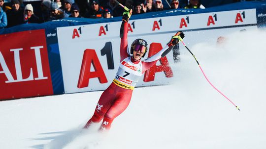 Stephanie Venierová