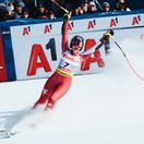 Stephanie Venierová