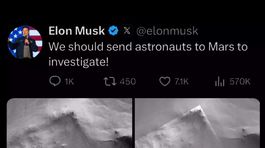 elon-musk-tweet