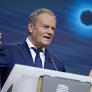 tusk