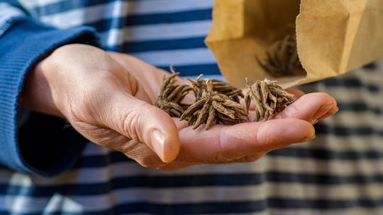 Pre najvyššiu klíčivosť používajte výlučne...